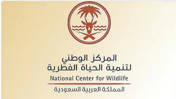 انطلاق مرحلة جديدة بعد انتهاء مبادرة تصحيح أوضاع الكائنات مع إعادة تشكيل خطط التنمية البيئية المستقبلية