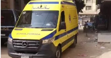 مصرع شخصين وإصابة خمسة آخرين في تصادم مروع لسيارتين على طريق بالغربية يثير استياء السكان