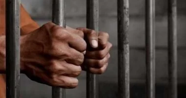 القبض على المتهم بقتل سيدة في حادث مأساوي بالطريق العام بمحافظة الغربية واهتمام واسع من وسائل الإعلام