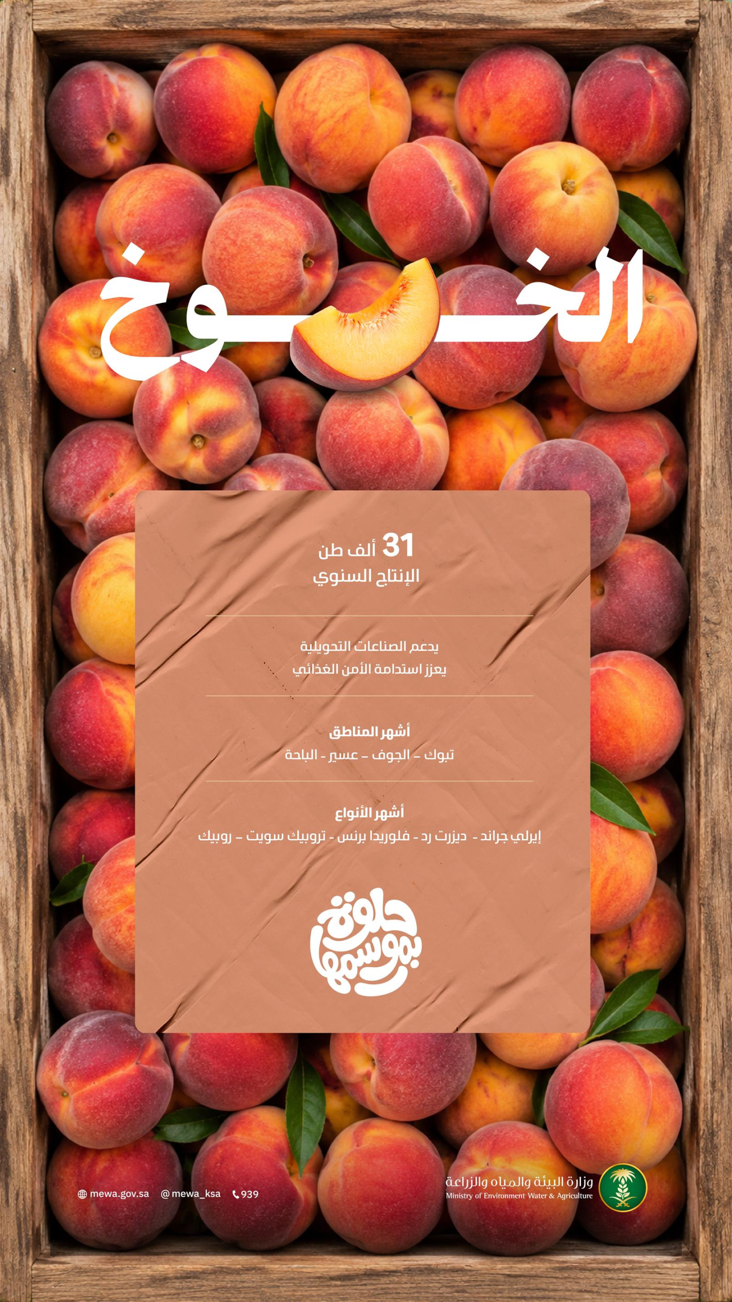انتعاش مبيعات الخوخ المحلي في السعودية حيث تم تسجيل أكثر من 31 ألف طن في الأسواق هذا الموسم