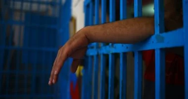 عقوبة إنشاء كيان تعليمي وهمي للنصب على المواطنين وما يفرضه القانون من إجراءات حاسمة ضد المحتالين