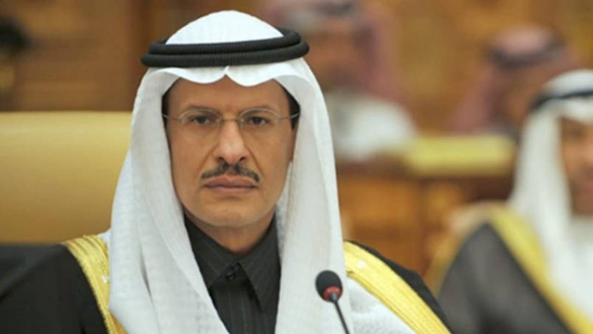 وزير الطاقة السعودي يتباحث مع وزير البيئة التركي حول سبل تعزيز التعاون المناخي المستدام بين البلدين